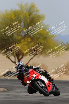 media/Apr-12-2025-Race Pace (Sat) [[9230add55f]]/Vested/6-Turn 4 Tree of Life (115pm)/